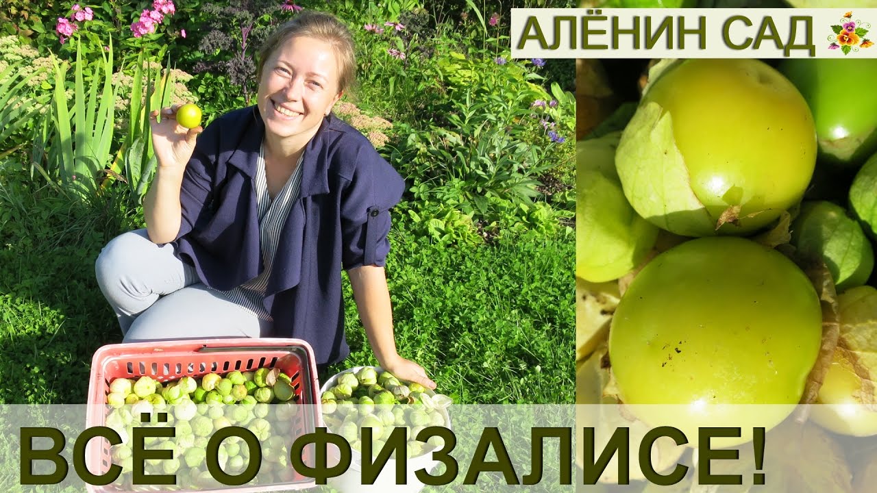 Нажмите, чтобы запустить видео