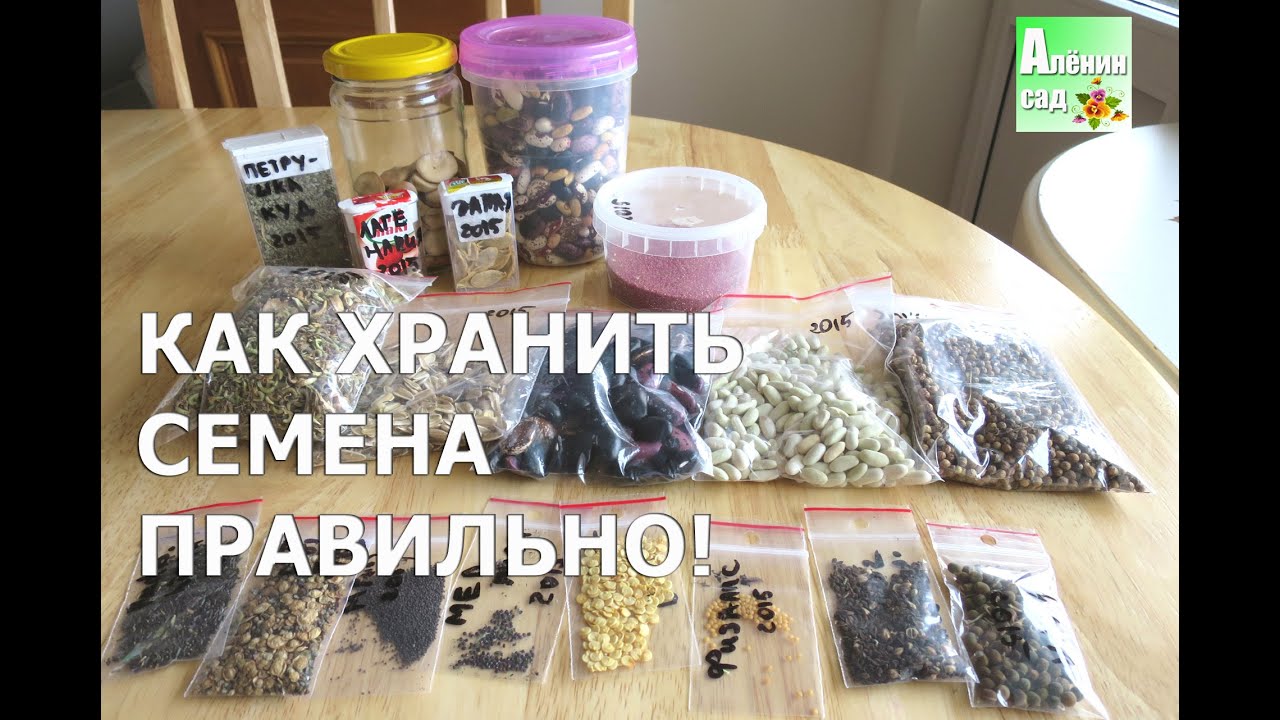 Нажмите, чтобы запустить видео
