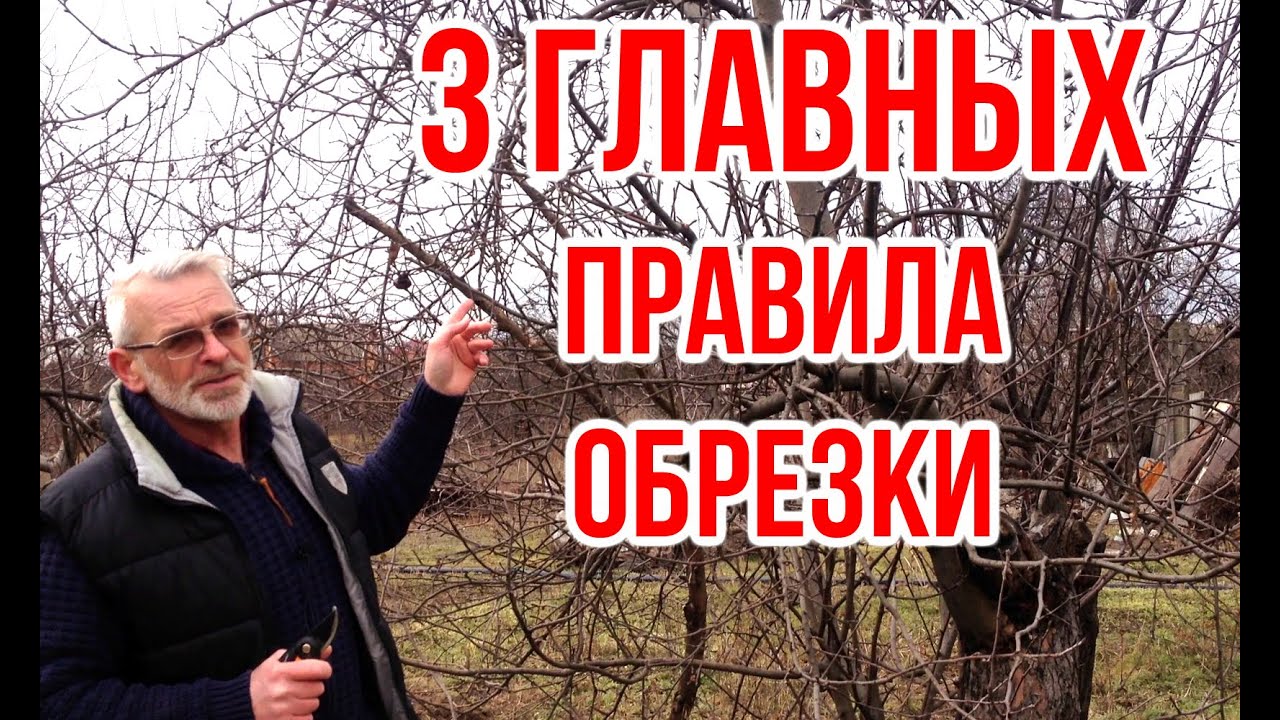 Нажмите, чтобы запустить видео
