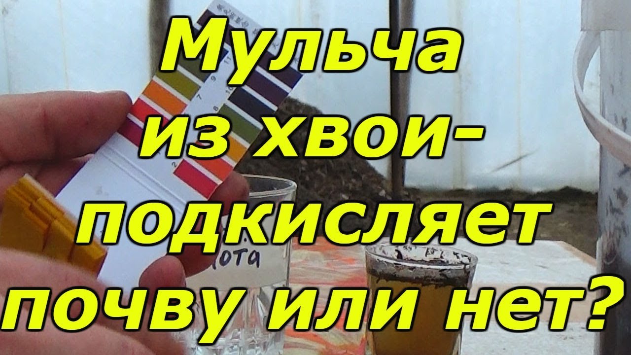 Нажмите, чтобы запустить видео