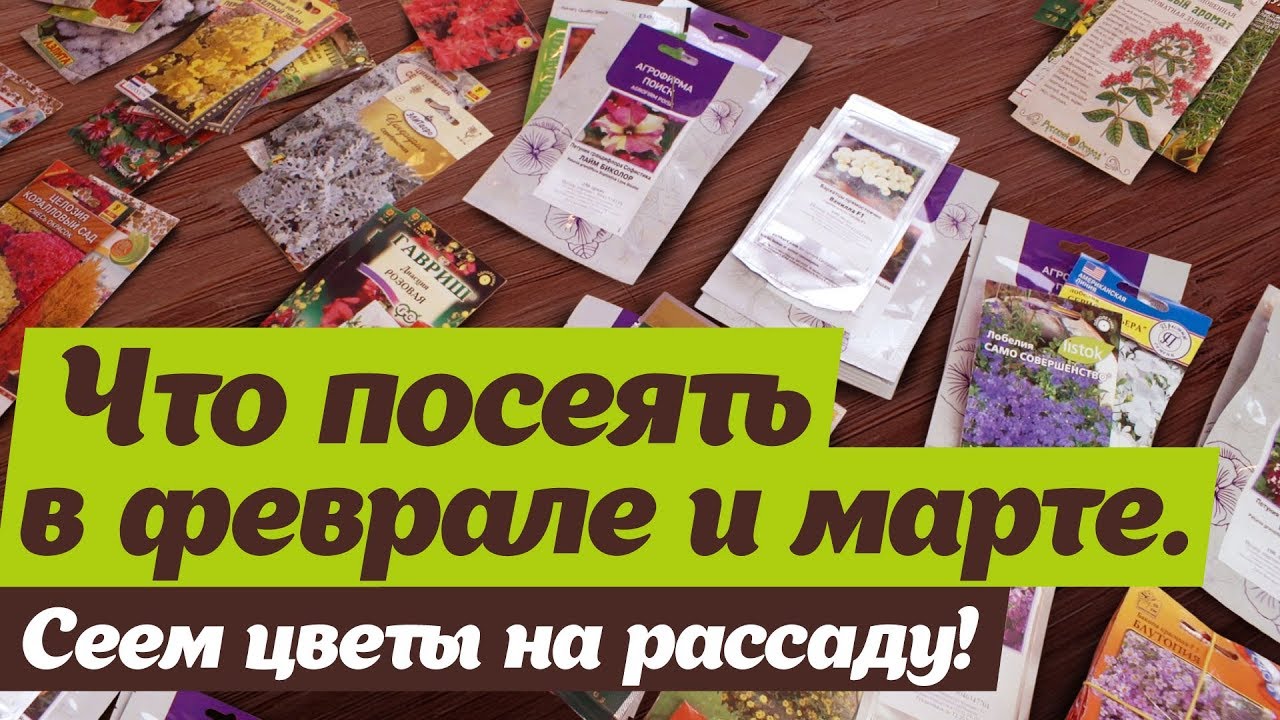 Нажмите, чтобы запустить видео
