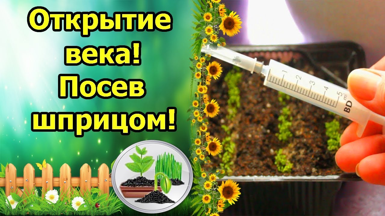 Нажмите, чтобы запустить видео