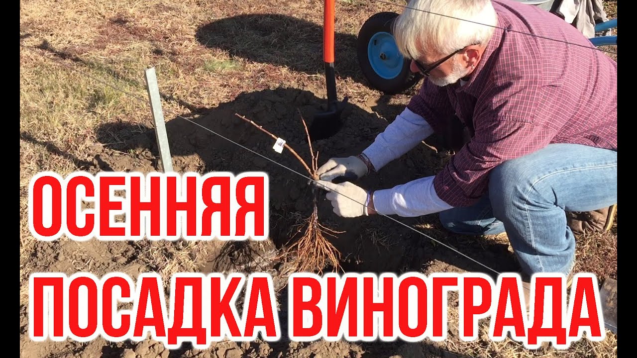 Нажмите, чтобы запустить видео