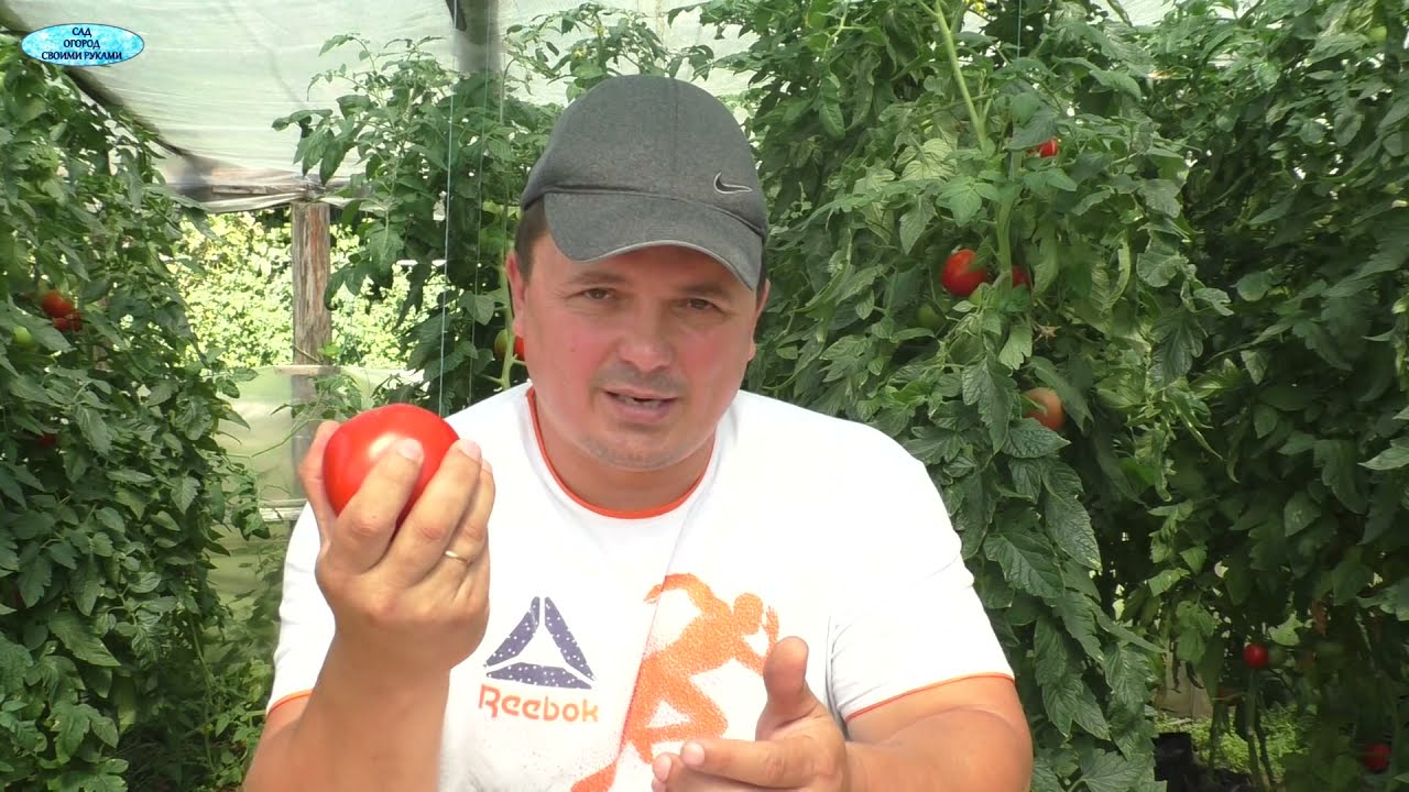 Нажмите, чтобы запустить видео
