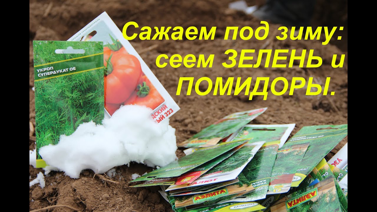 Нажмите, чтобы запустить видео