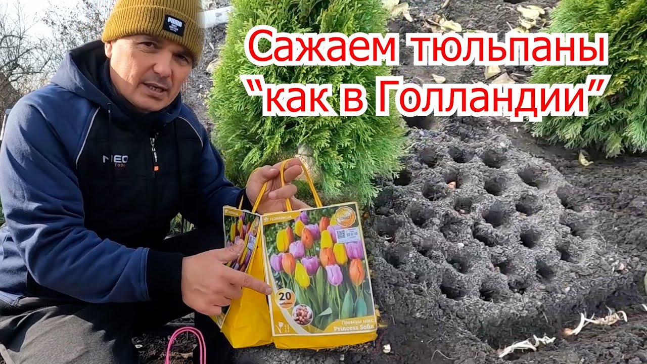 Нажмите, чтобы запустить видео