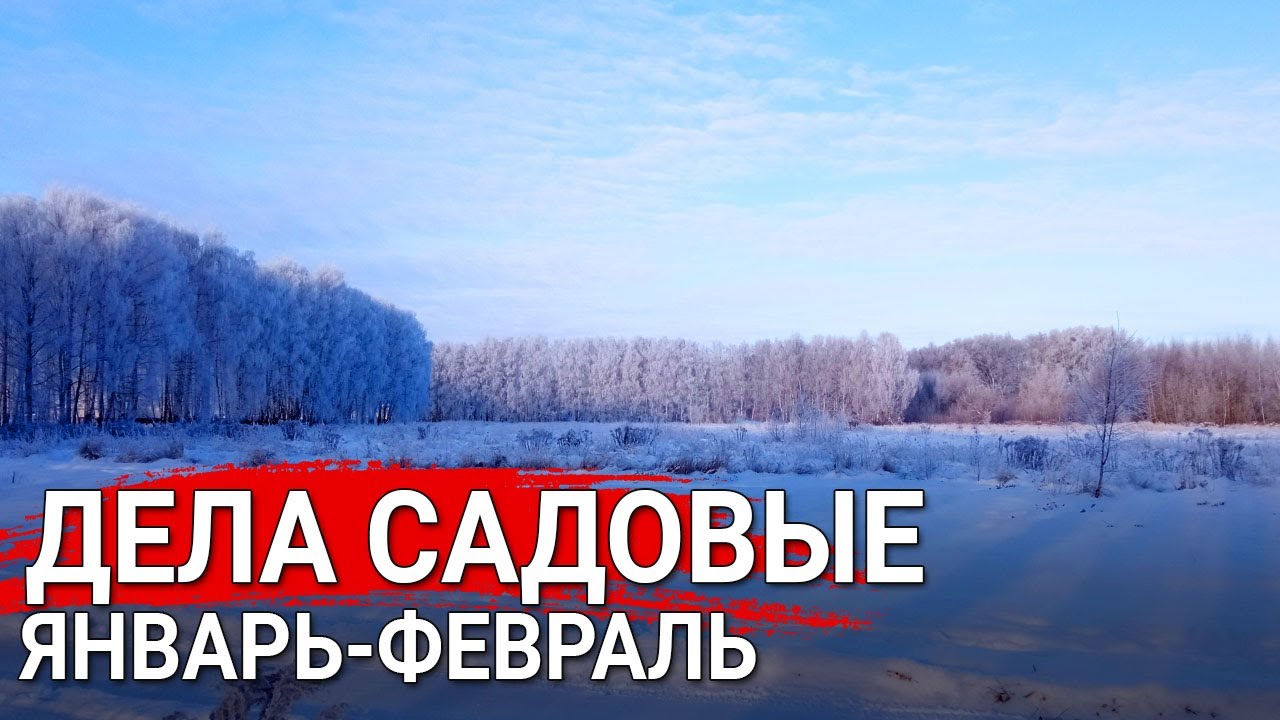 Нажмите, чтобы запустить видео