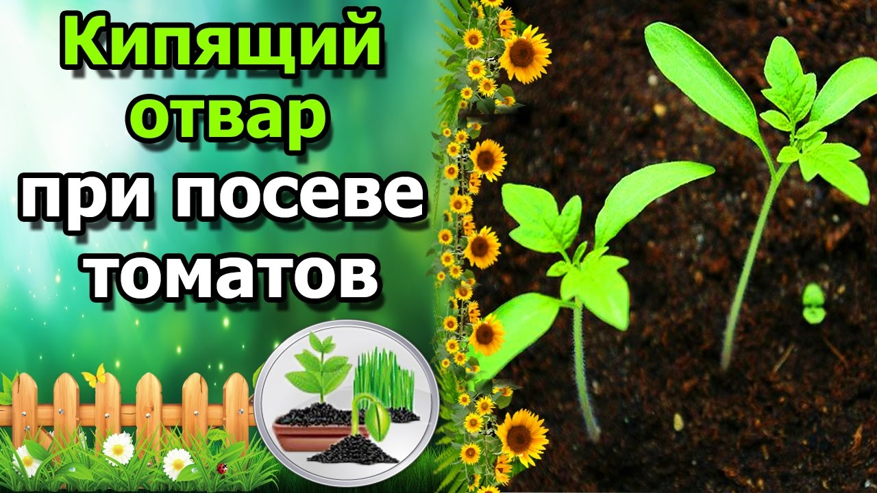 Нажмите, чтобы запустить видео