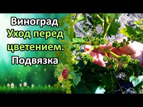 Нажмите, чтобы запустить видео