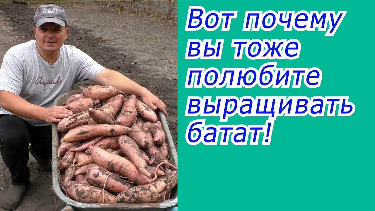Нажмите, чтобы запустить видео