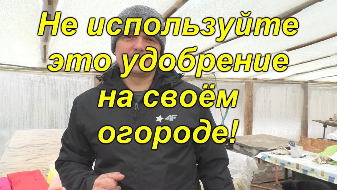 Нажмите, чтобы запустить видео