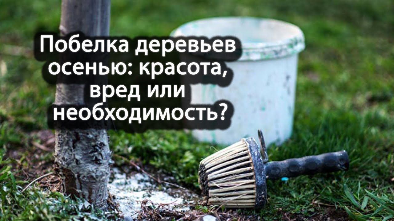 Нажмите, чтобы запустить видео