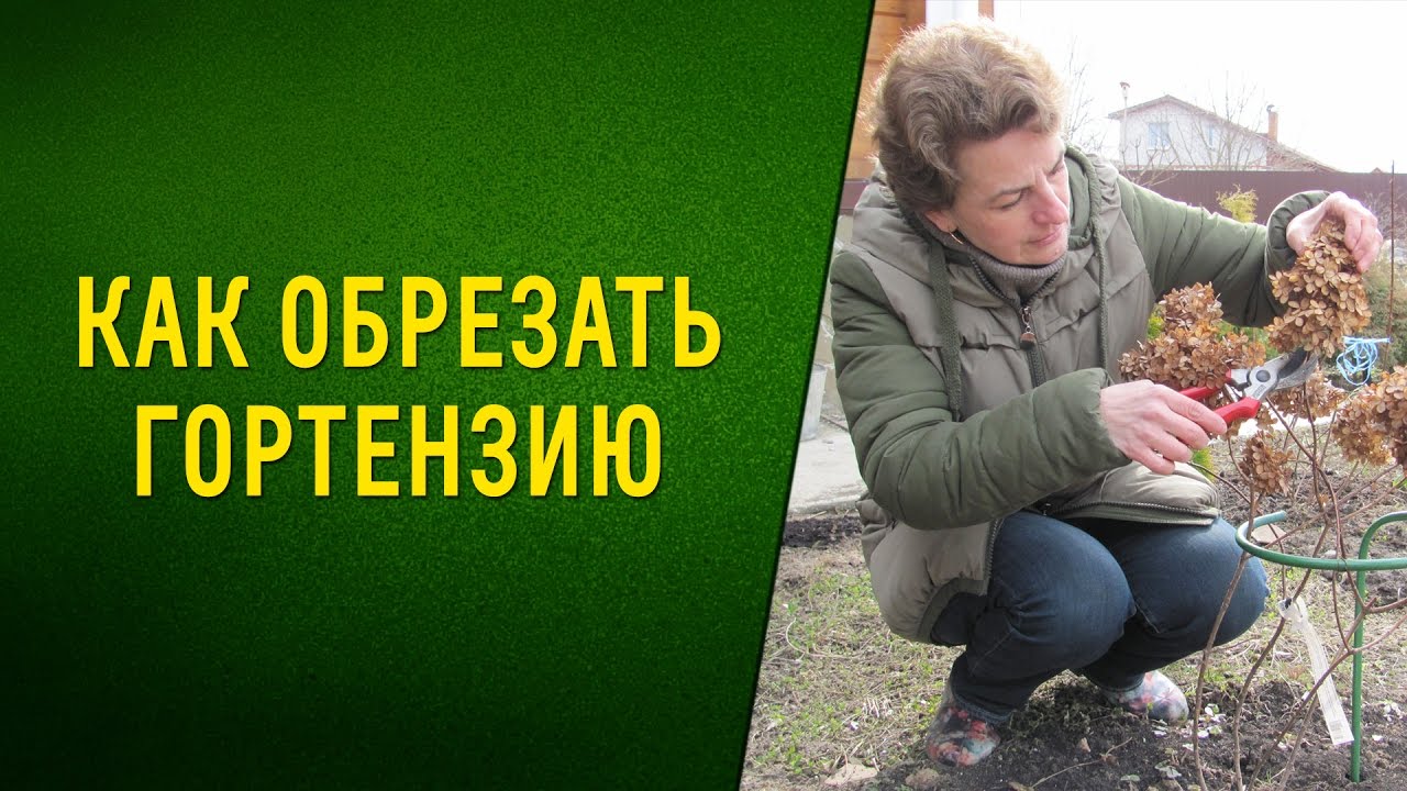 Нажмите, чтобы запустить видео