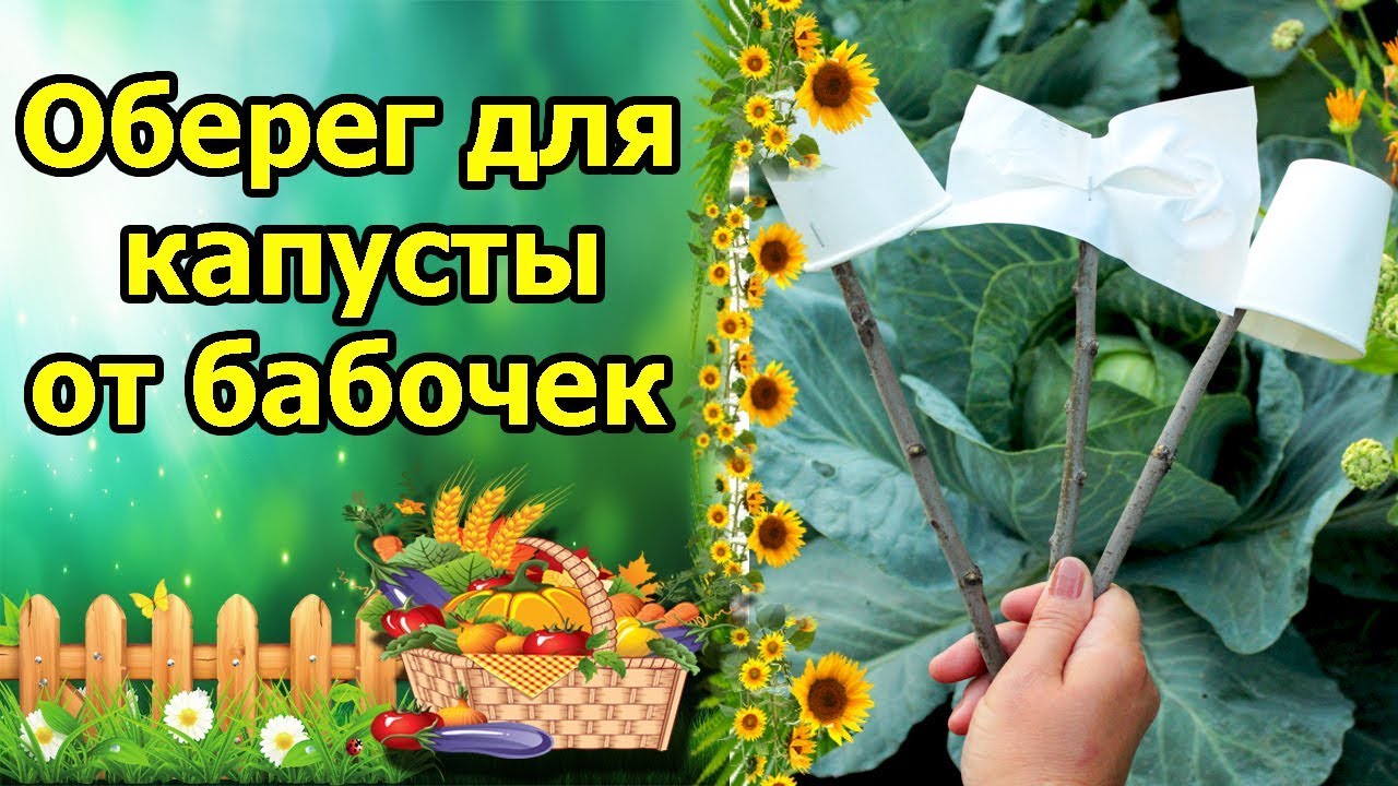 Нажмите, чтобы запустить видео