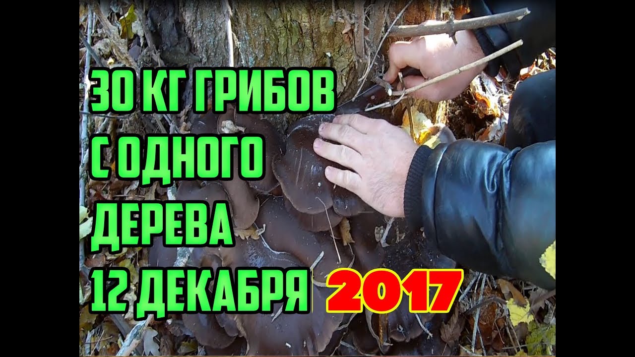 Нажмите, чтобы запустить видео