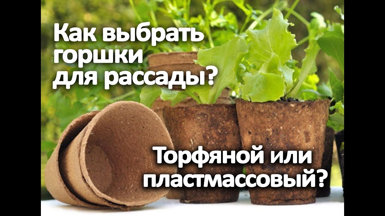 Нажмите, чтобы запустить видео