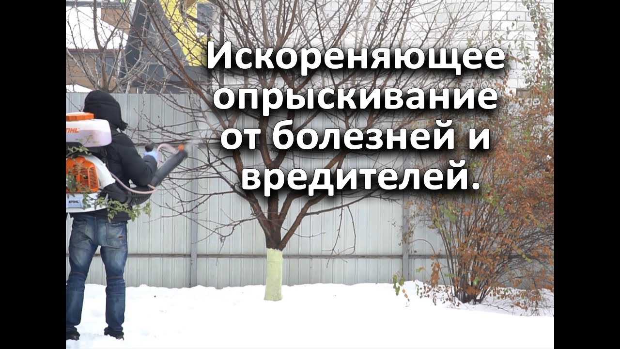 Нажмите, чтобы запустить видео