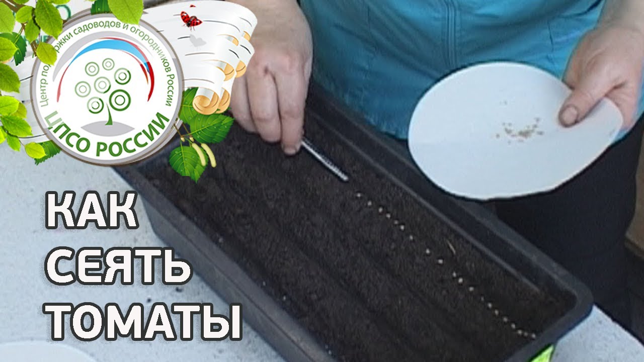 Нажмите, чтобы запустить видео