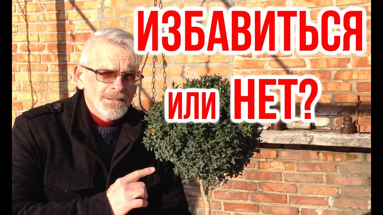 Нажмите, чтобы запустить видео