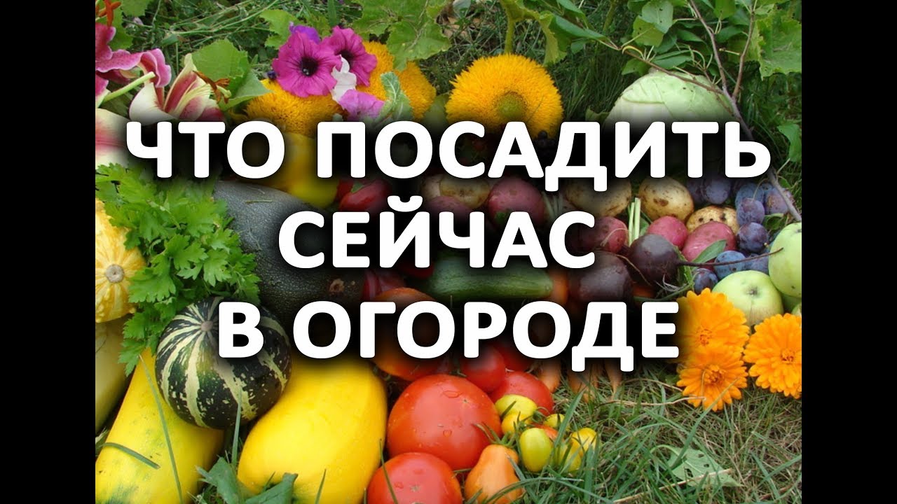 Нажмите, чтобы запустить видео