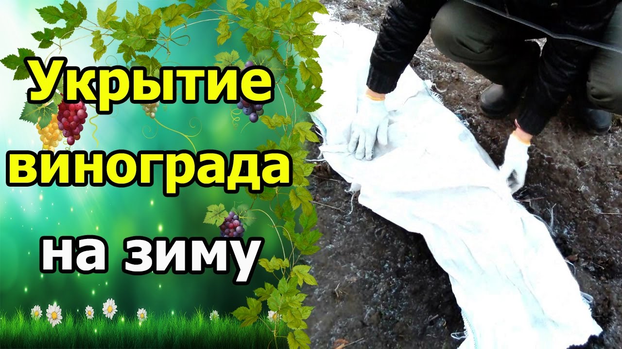 Нажмите, чтобы запустить видео