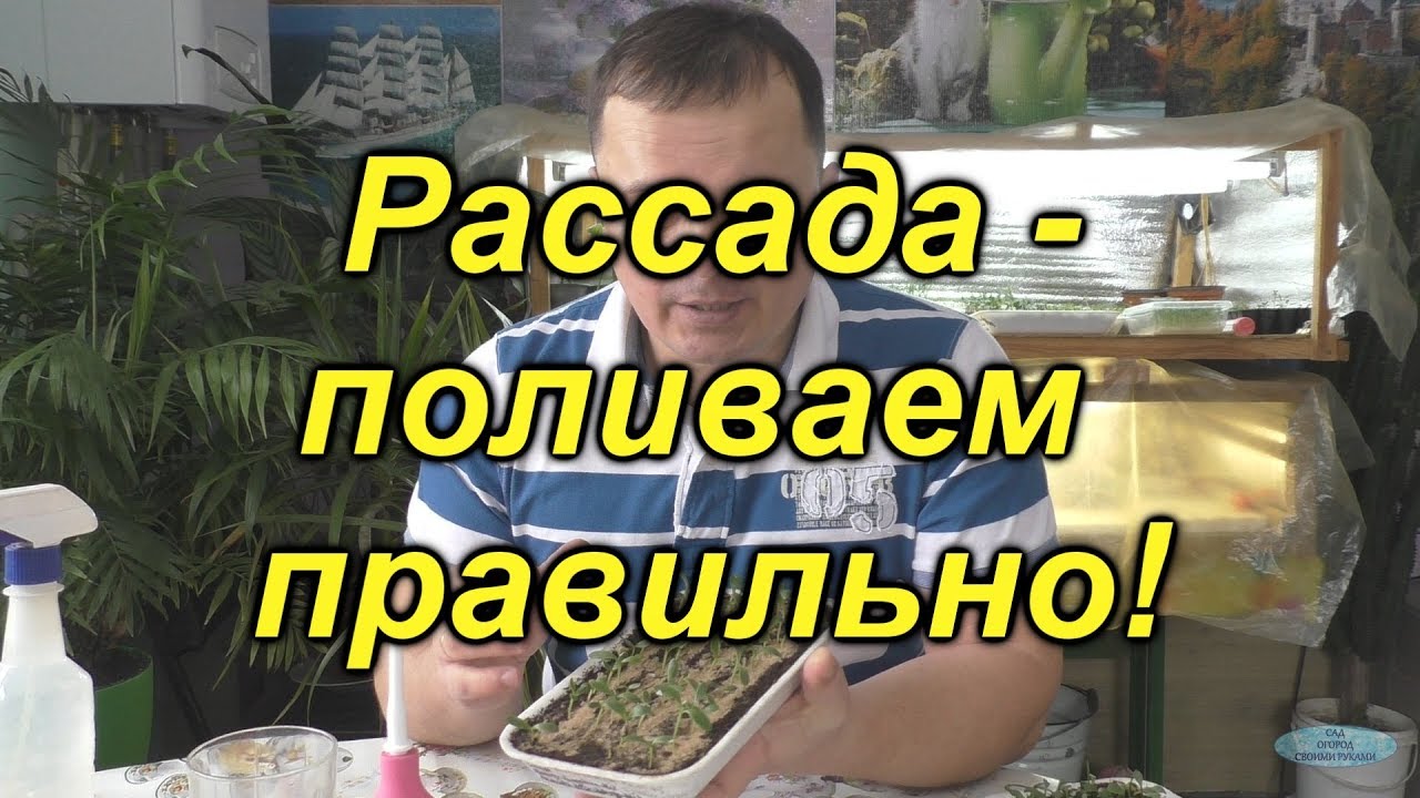 Нажмите, чтобы запустить видео