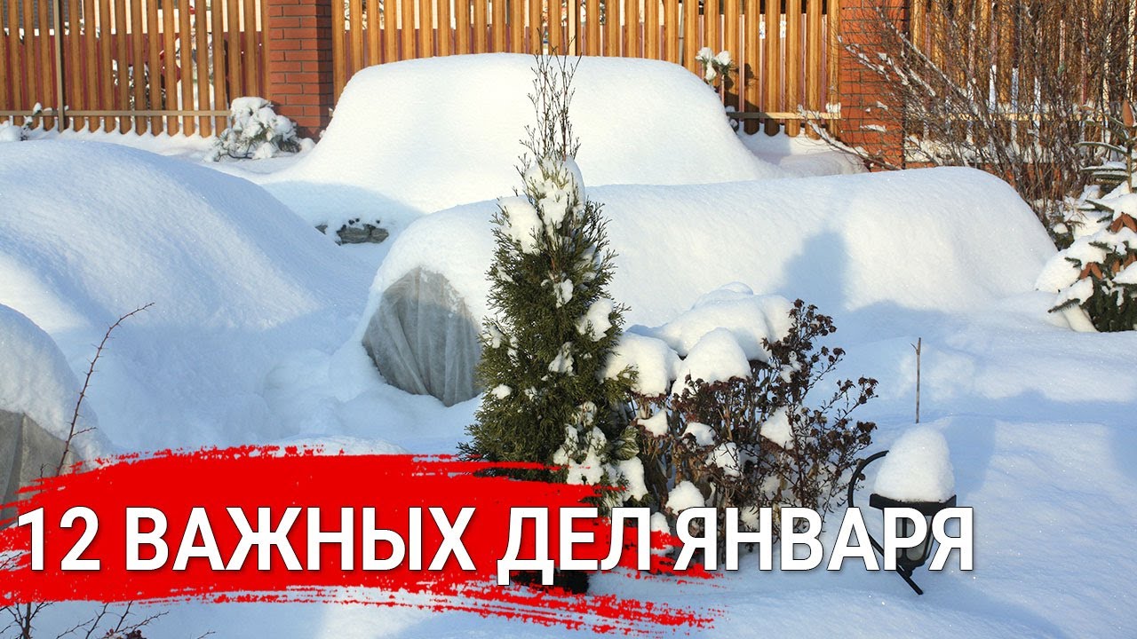 Нажмите, чтобы запустить видео