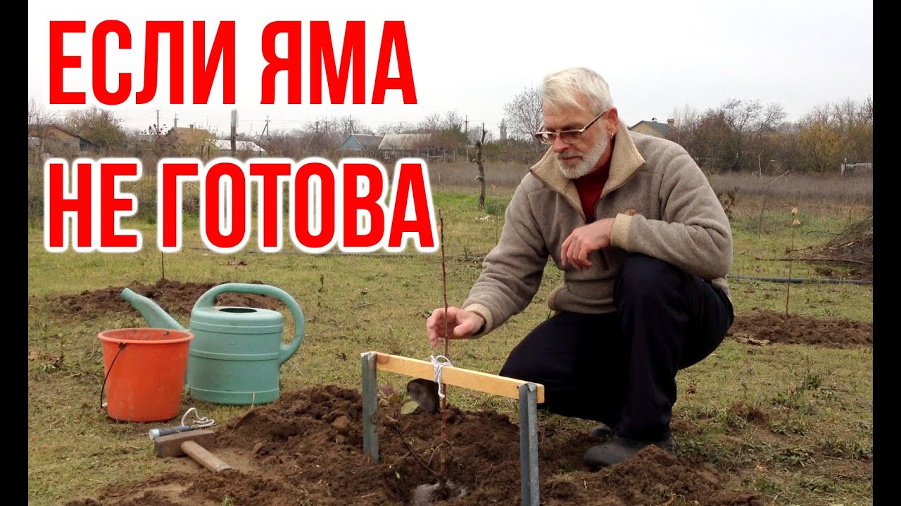 Нажмите, чтобы запустить видео