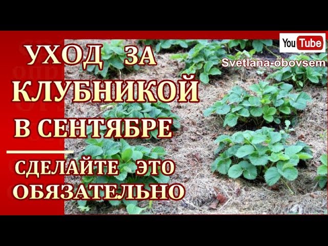 Нажмите, чтобы запустить видео