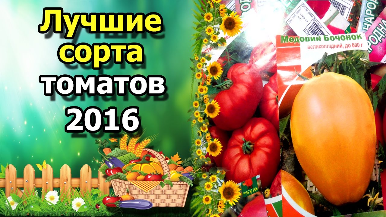 Нажмите, чтобы запустить видео
