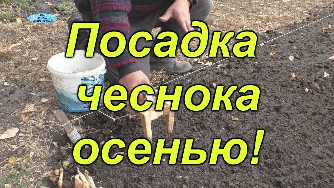 Нажмите, чтобы запустить видео