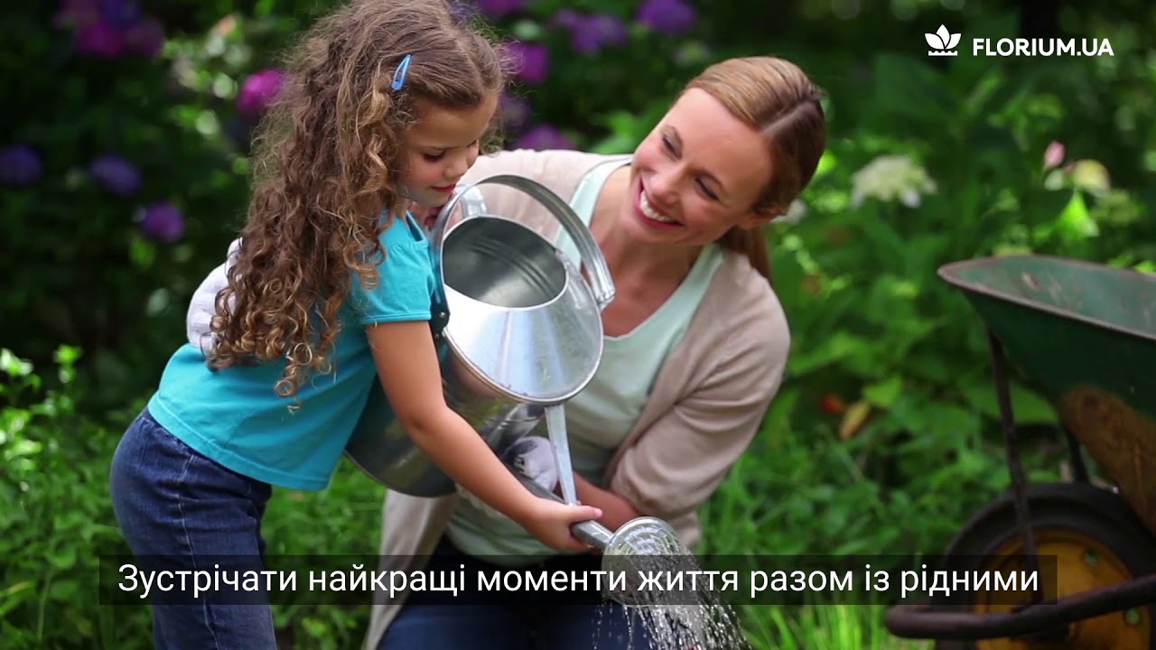 Нажмите, чтобы запустить видео