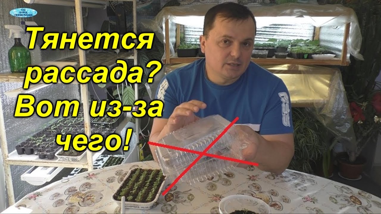 Нажмите, чтобы запустить видео
