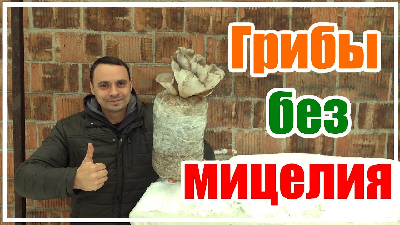 Нажмите, чтобы запустить видео