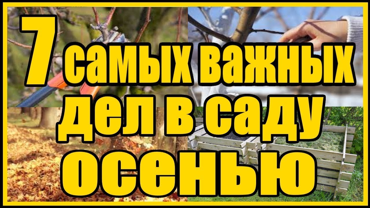 Нажмите, чтобы запустить видео