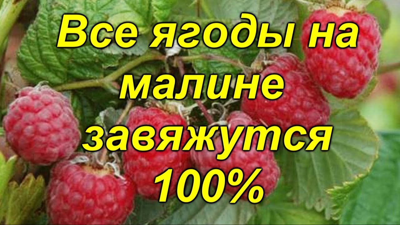 Нажмите, чтобы запустить видео