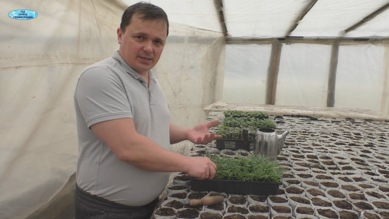 Нажмите, чтобы запустить видео
