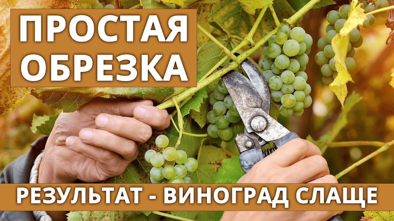 Нажмите, чтобы запустить видео