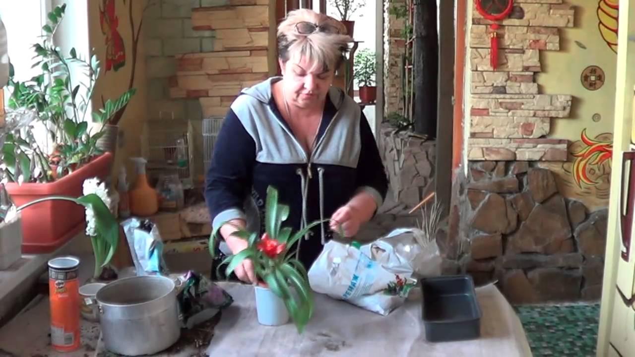 Нажмите, чтобы запустить видео