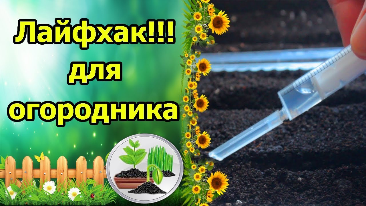 Нажмите, чтобы запустить видео