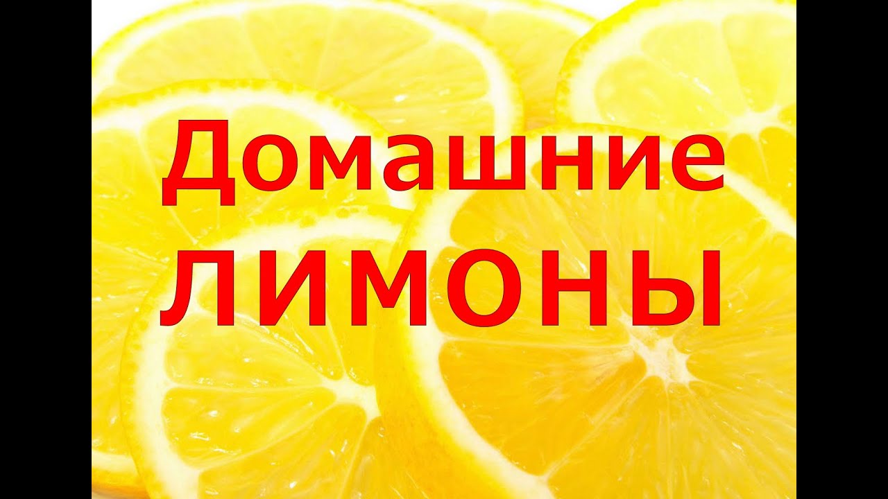 Нажмите, чтобы запустить видео