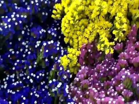 Нажмите, чтобы запустить видео