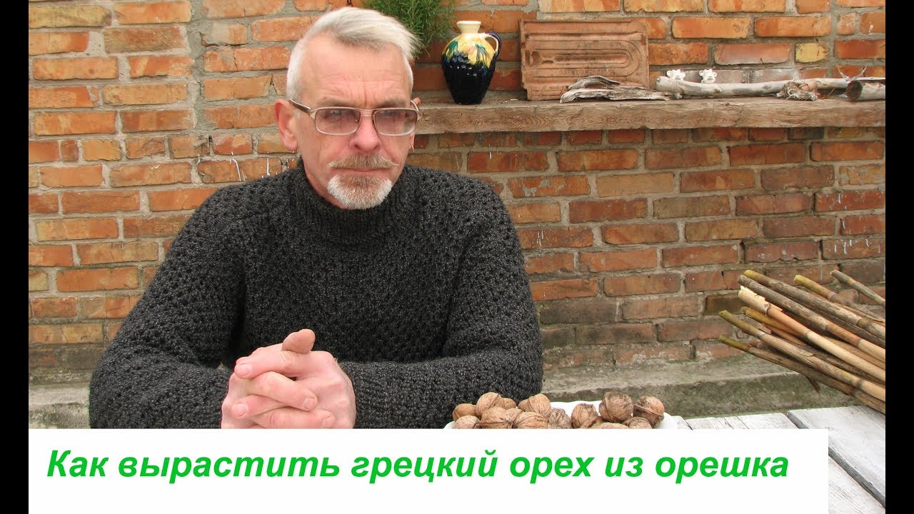 Нажмите, чтобы запустить видео