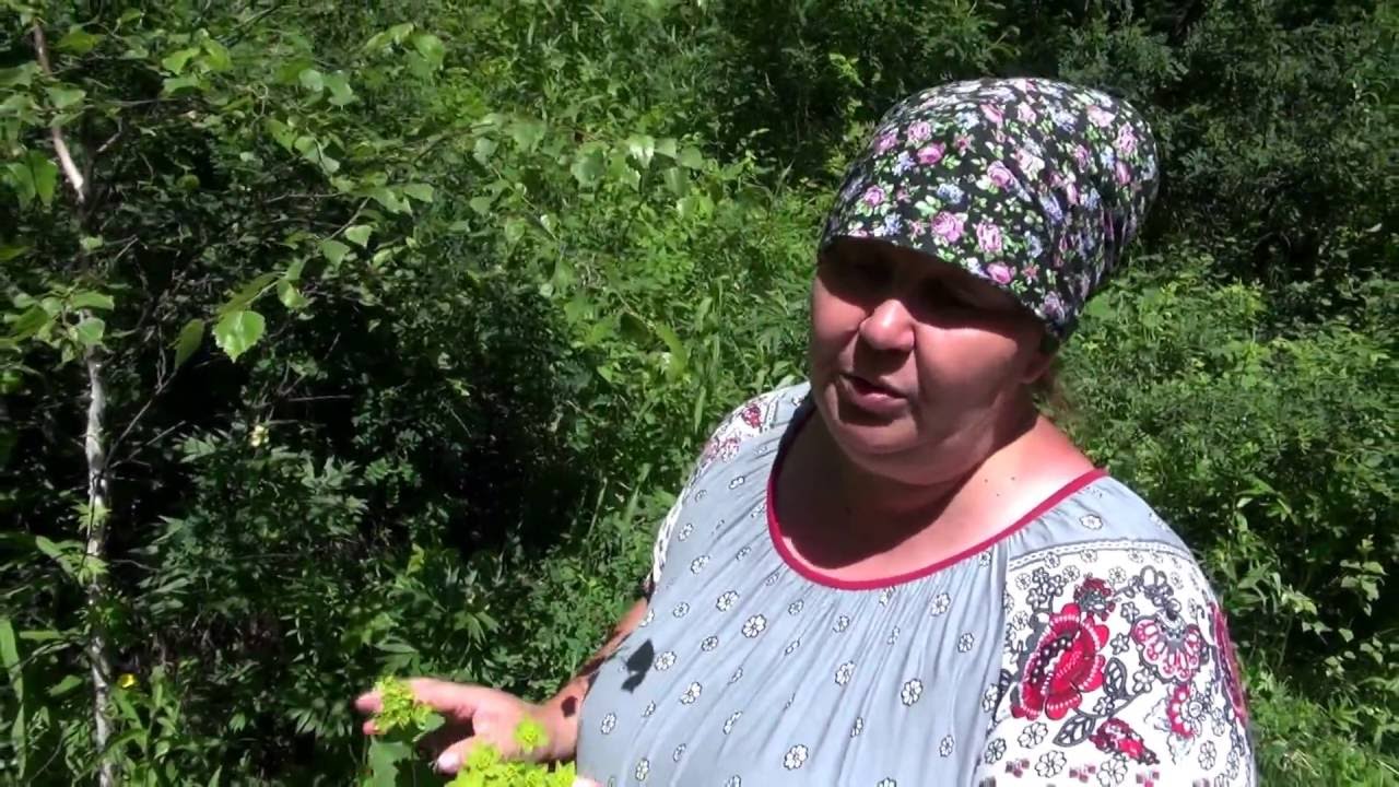 Нажмите, чтобы запустить видео