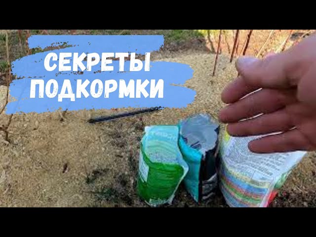 Нажмите, чтобы запустить видео