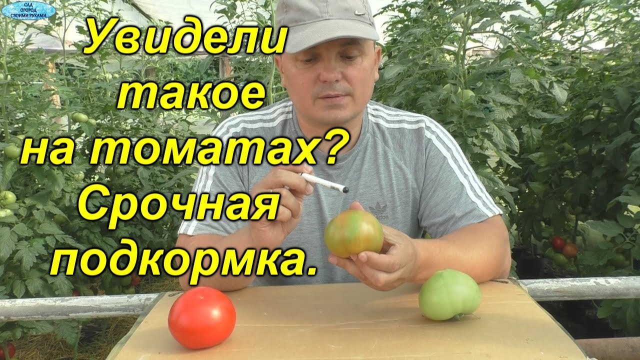 Нажмите, чтобы запустить видео