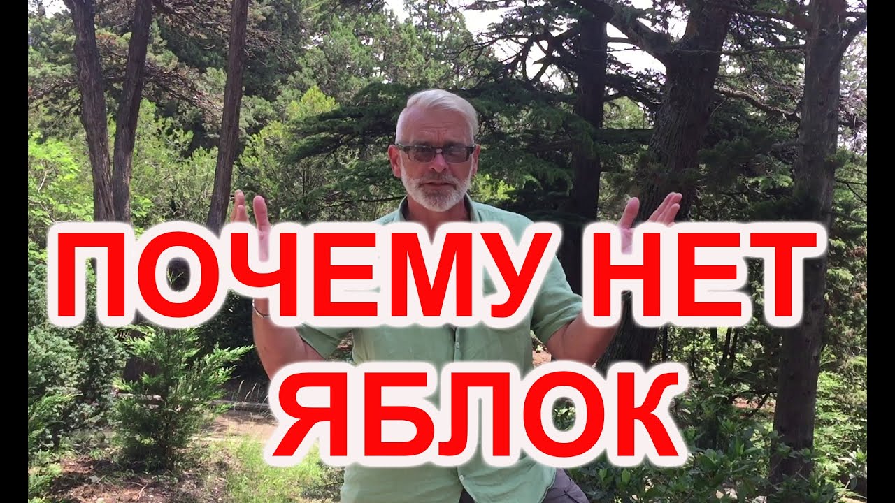 Нажмите, чтобы запустить видео