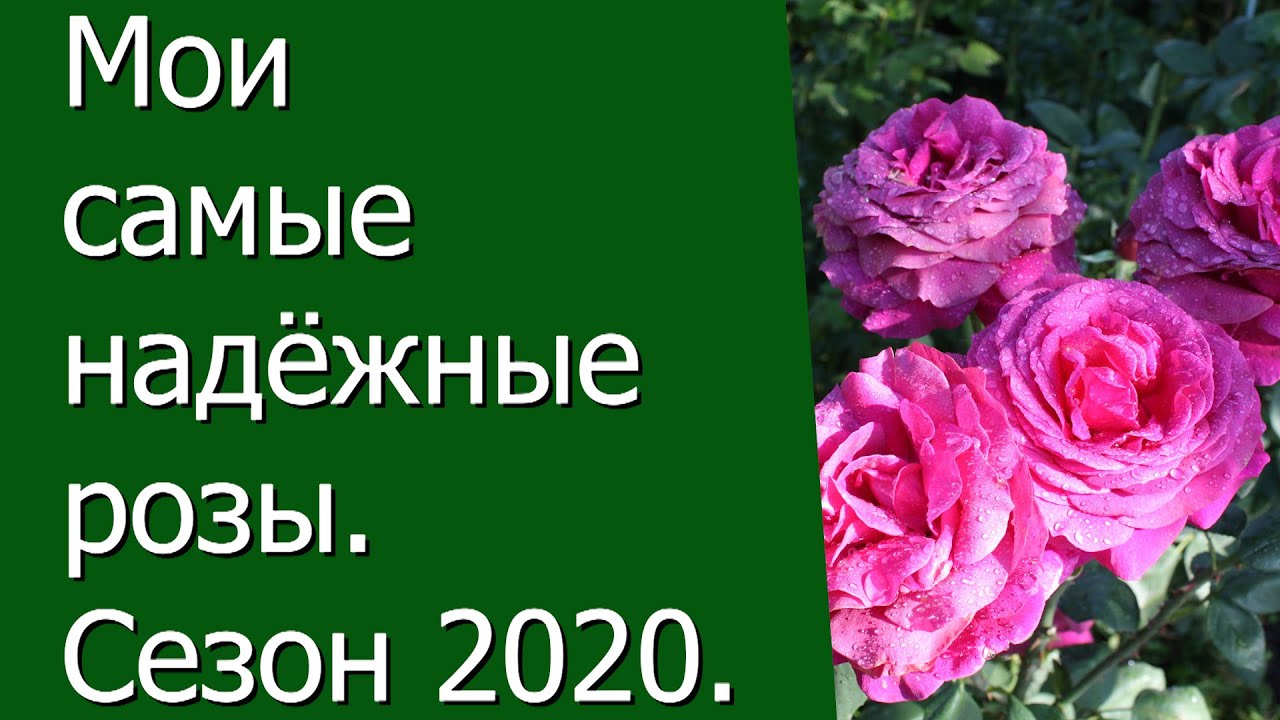 Нажмите, чтобы запустить видео