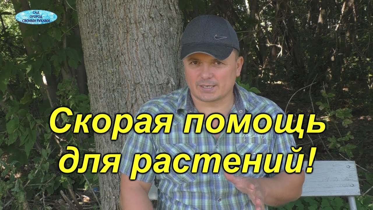 Нажмите, чтобы запустить видео