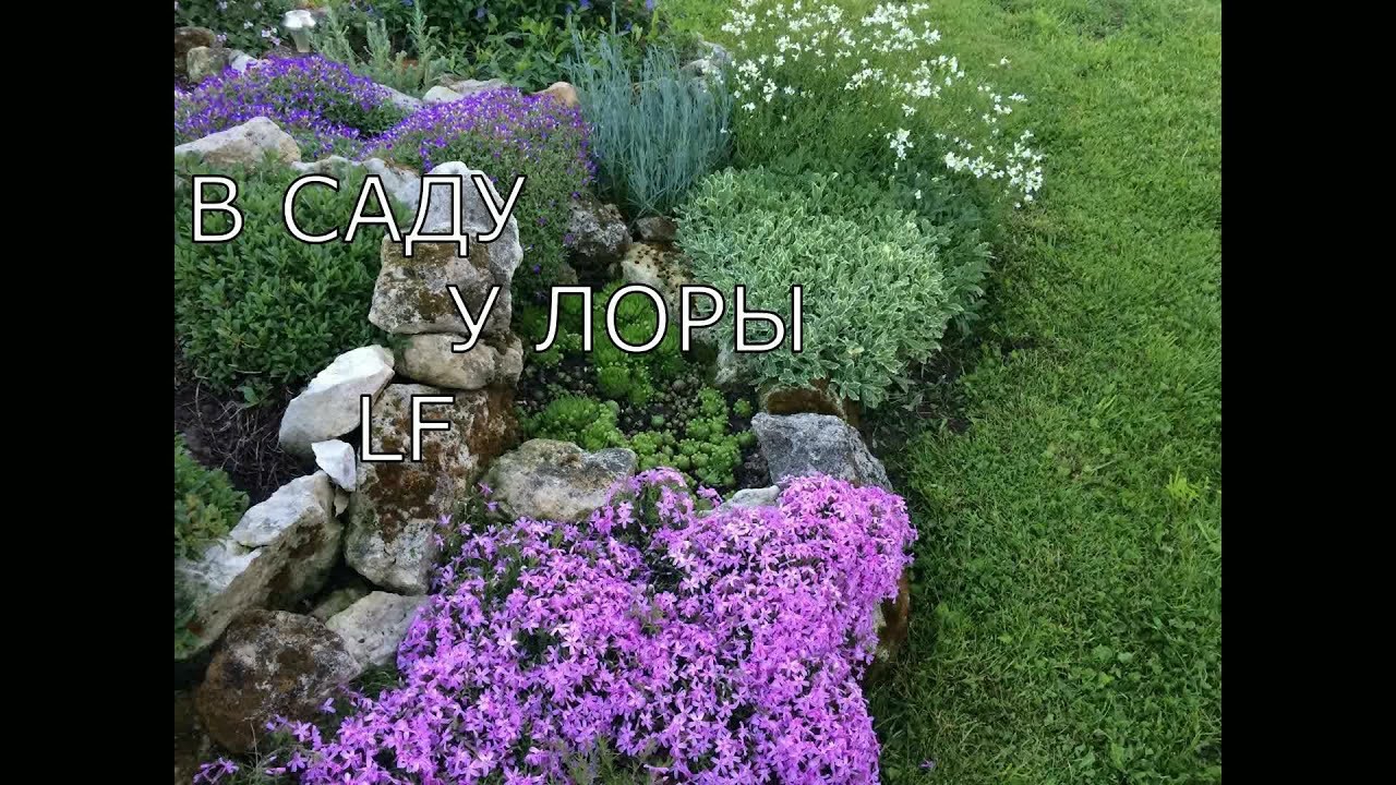 Нажмите, чтобы запустить видео